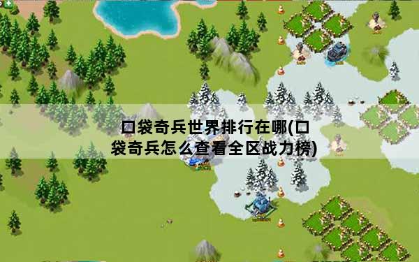 口袋奇兵世界排行在哪(口袋奇兵怎么查看全区战力榜)